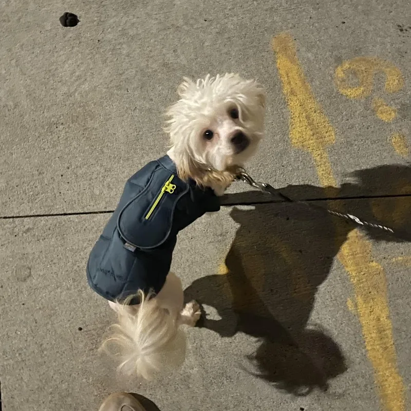 Mercedes thumbnail 3