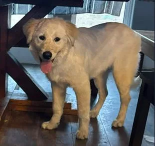 Wintry Mix: Yuki thumbnail 2