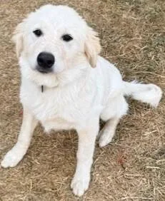 Wintry Mix: Yuki thumbnail 3