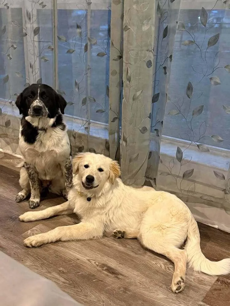 Wintry Mix: Yuki thumbnail 4