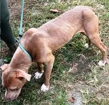 Julie  Such A thumbnail 3