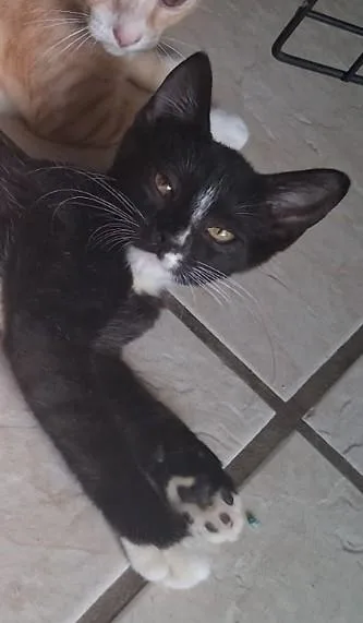 Avril and Rudy thumbnail 2
