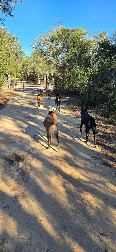 Molly  Located In thumbnail 2