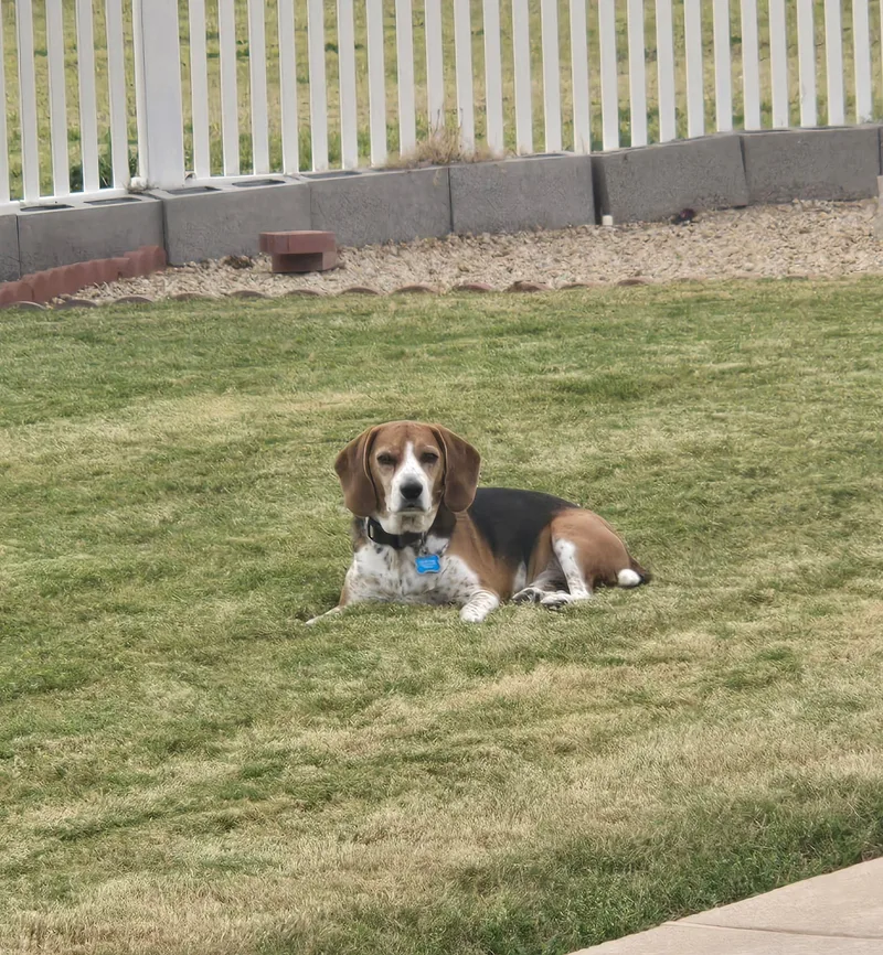 Tucker