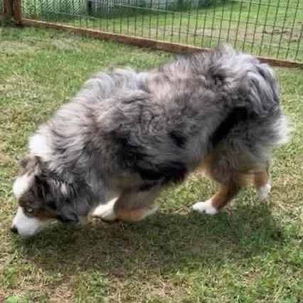 OzzyTater thumbnail 3