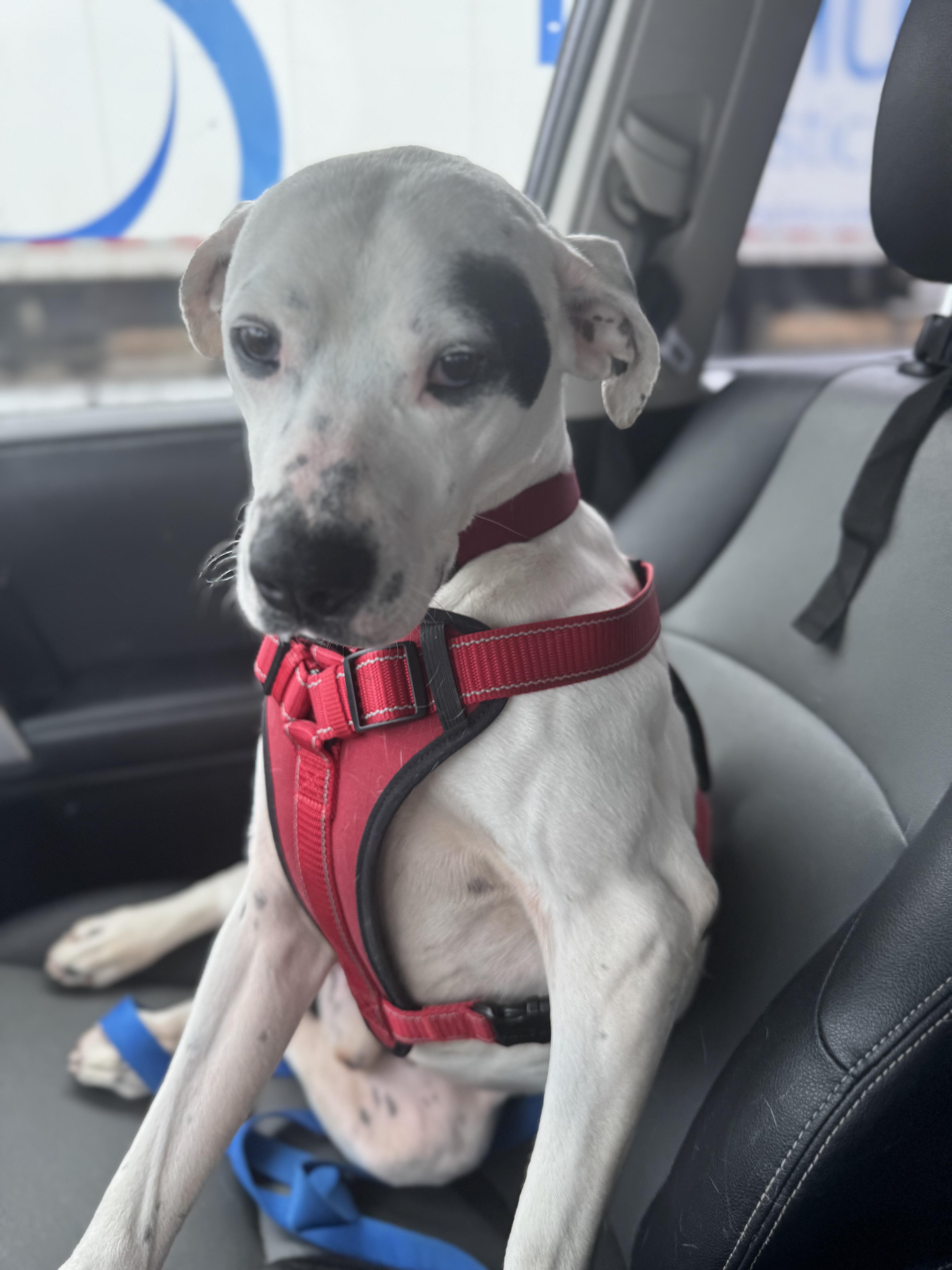 Sammy Sosa thumbnail 2