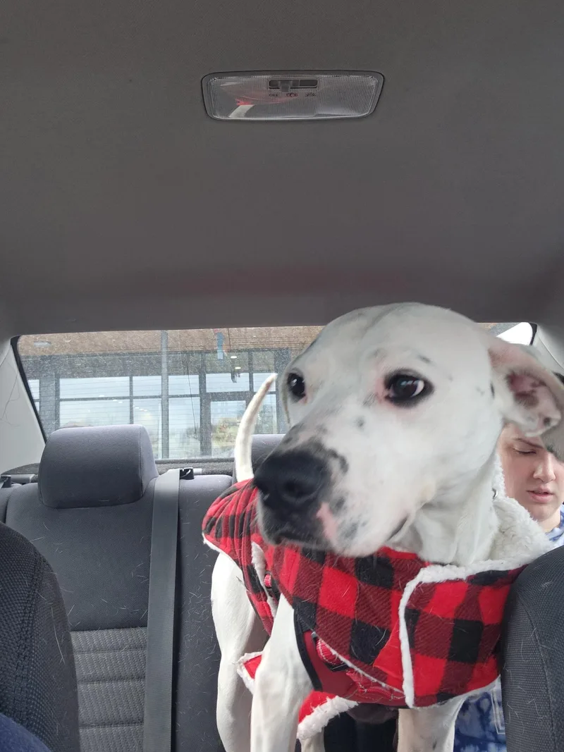 Sammy Sosa thumbnail 3