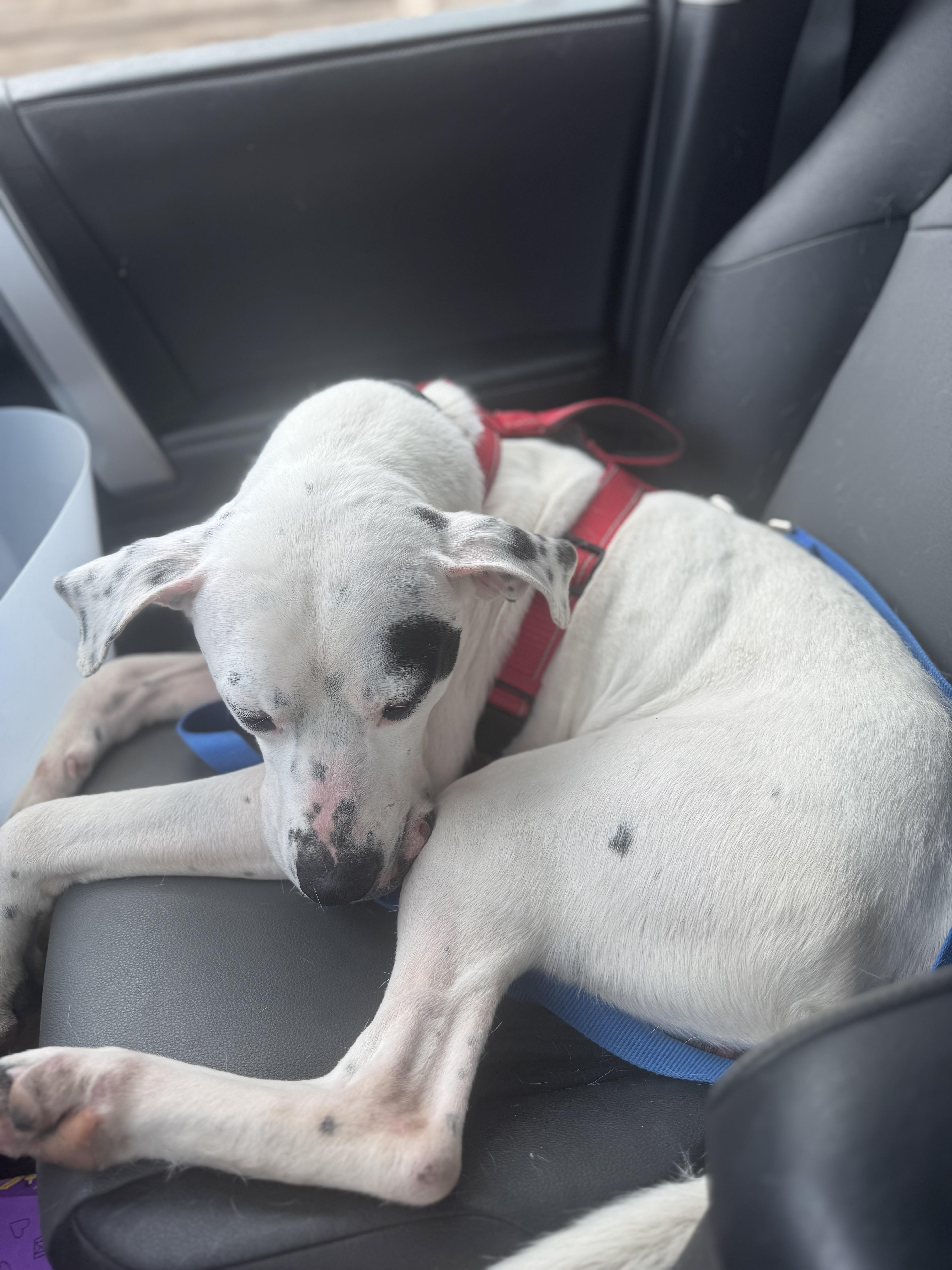 Sammy Sosa thumbnail 4