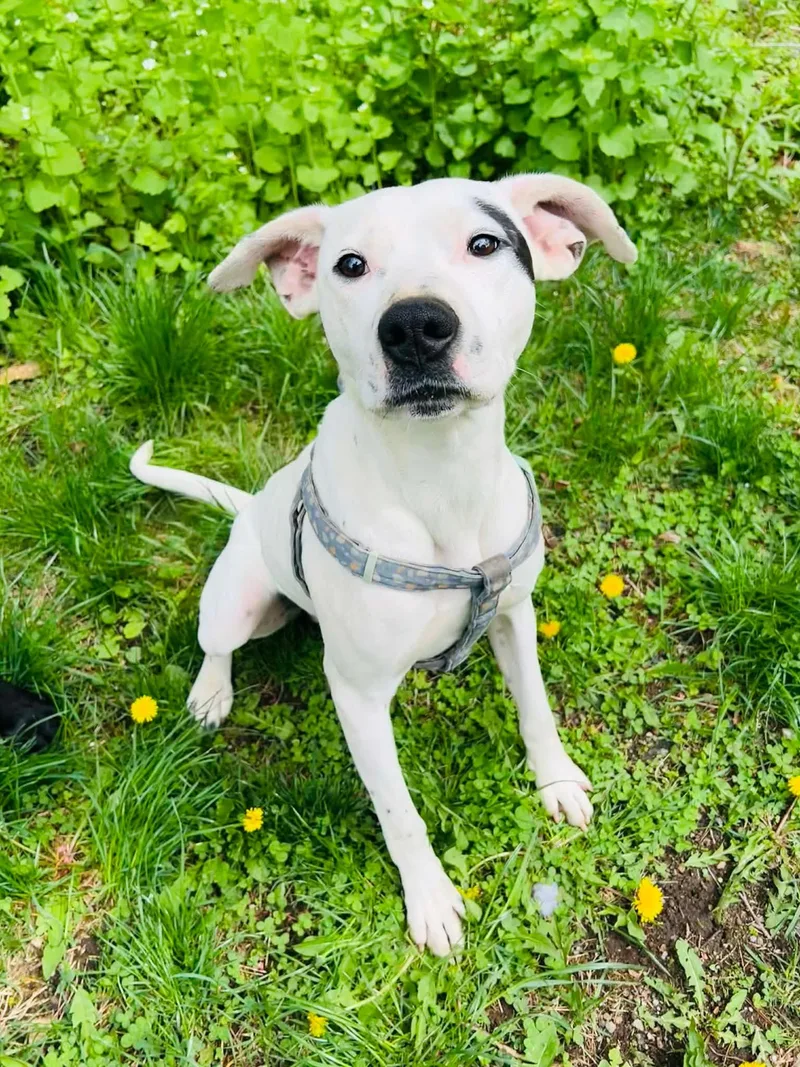 Sammy Sosa thumbnail 5