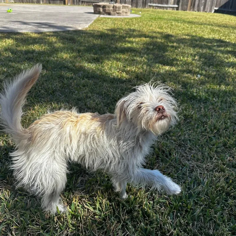 Posiesunday thumbnail 3