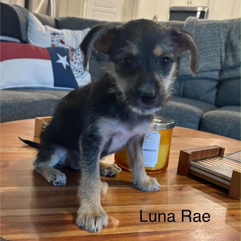 Luna Rae thumbnail 3
