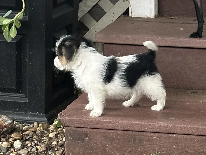 Jack Hardy thumbnail 2