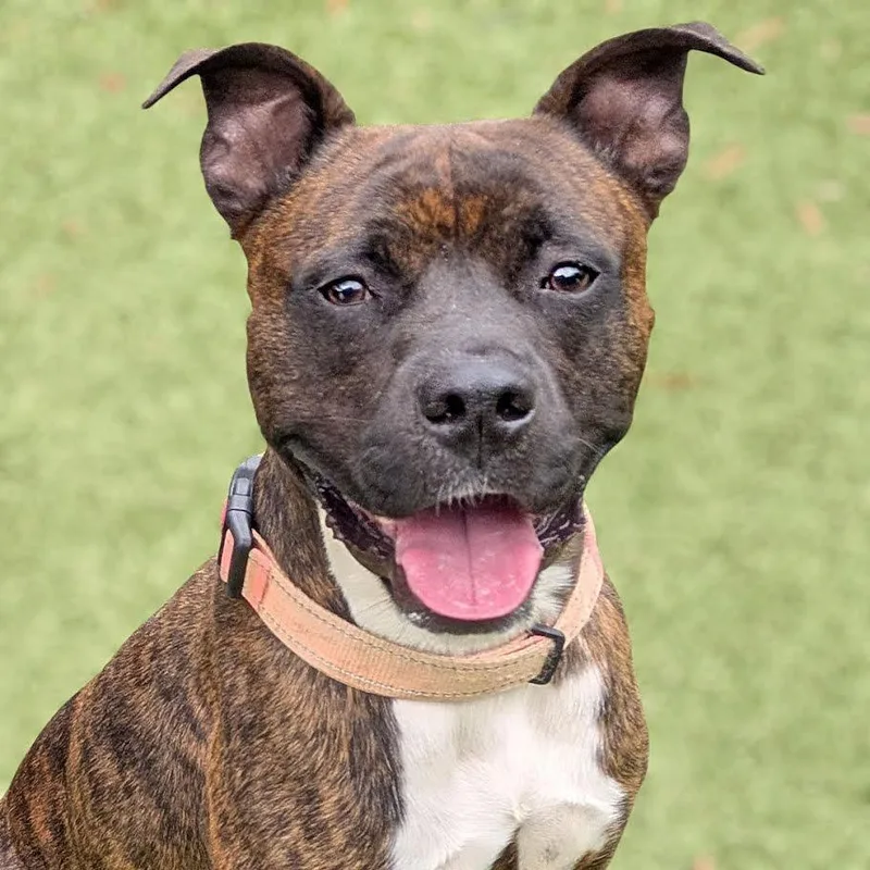 Cooper Fka Dobby thumbnail 2