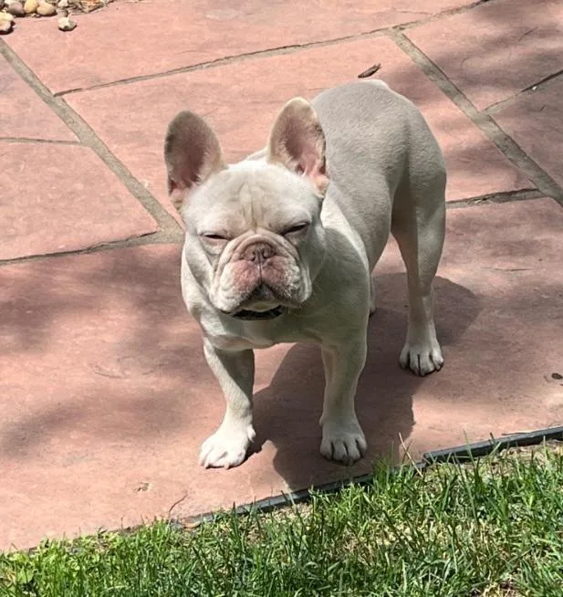 Benny