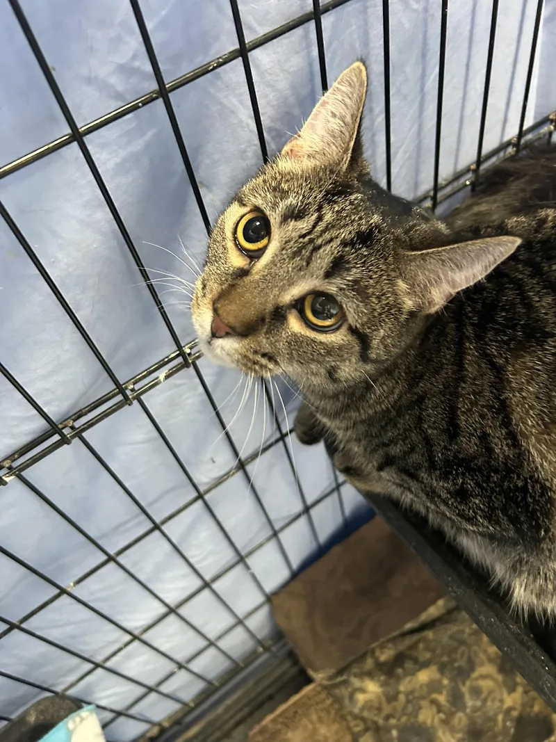 Rhys thumbnail 4