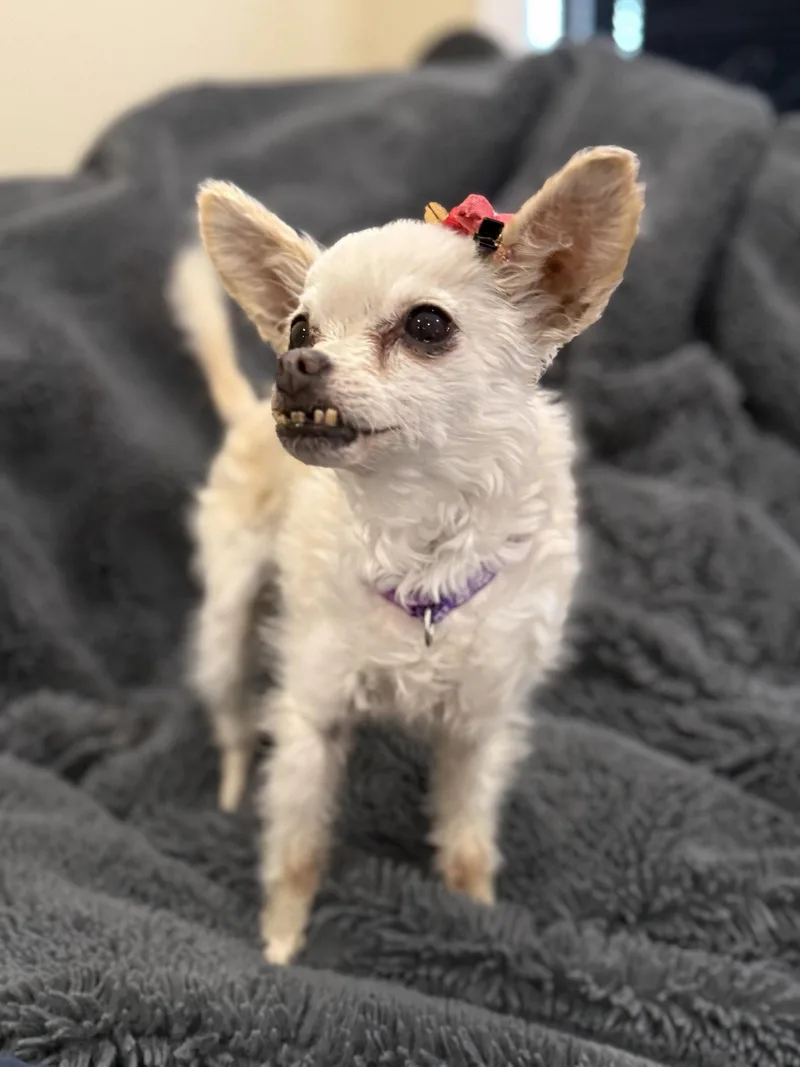Sophie