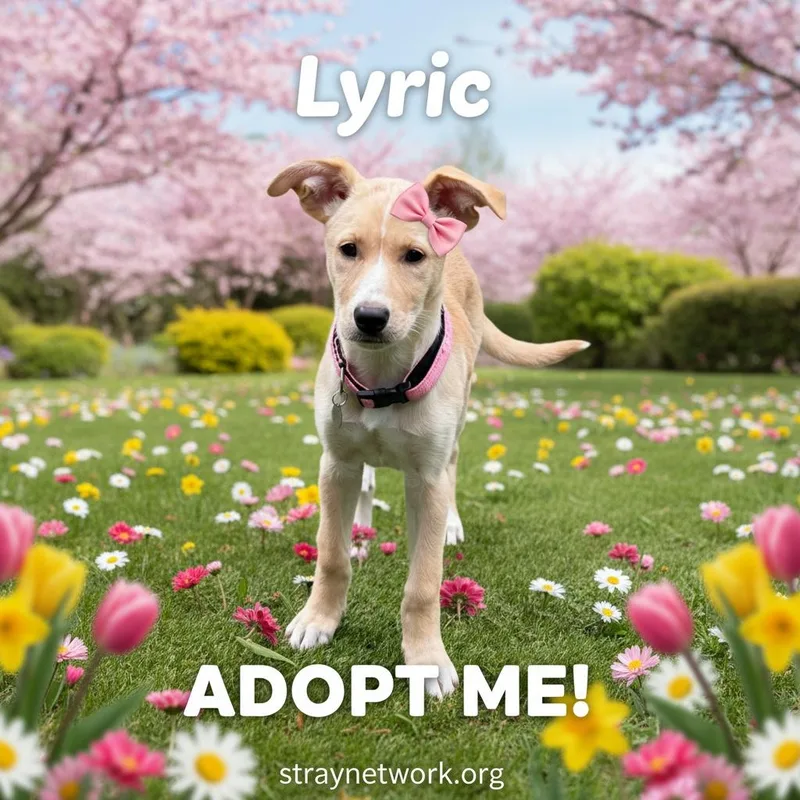Lyric thumbnail 3