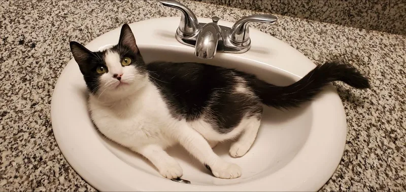 Phoebe Ann thumbnail 3