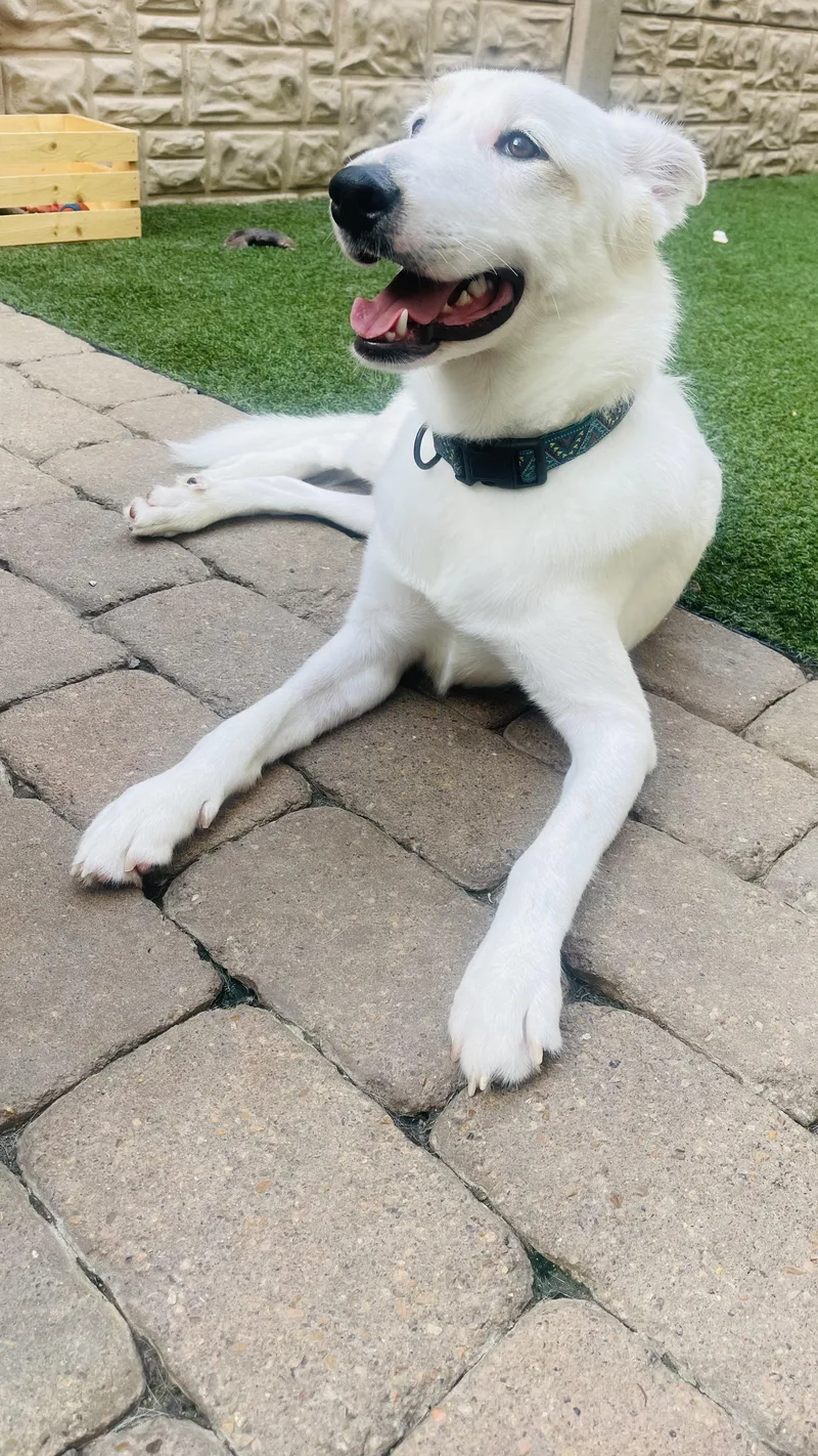 Snow thumbnail 5