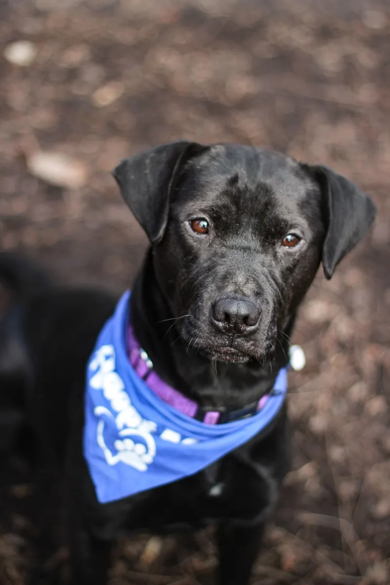 Beetlejuice thumbnail 2