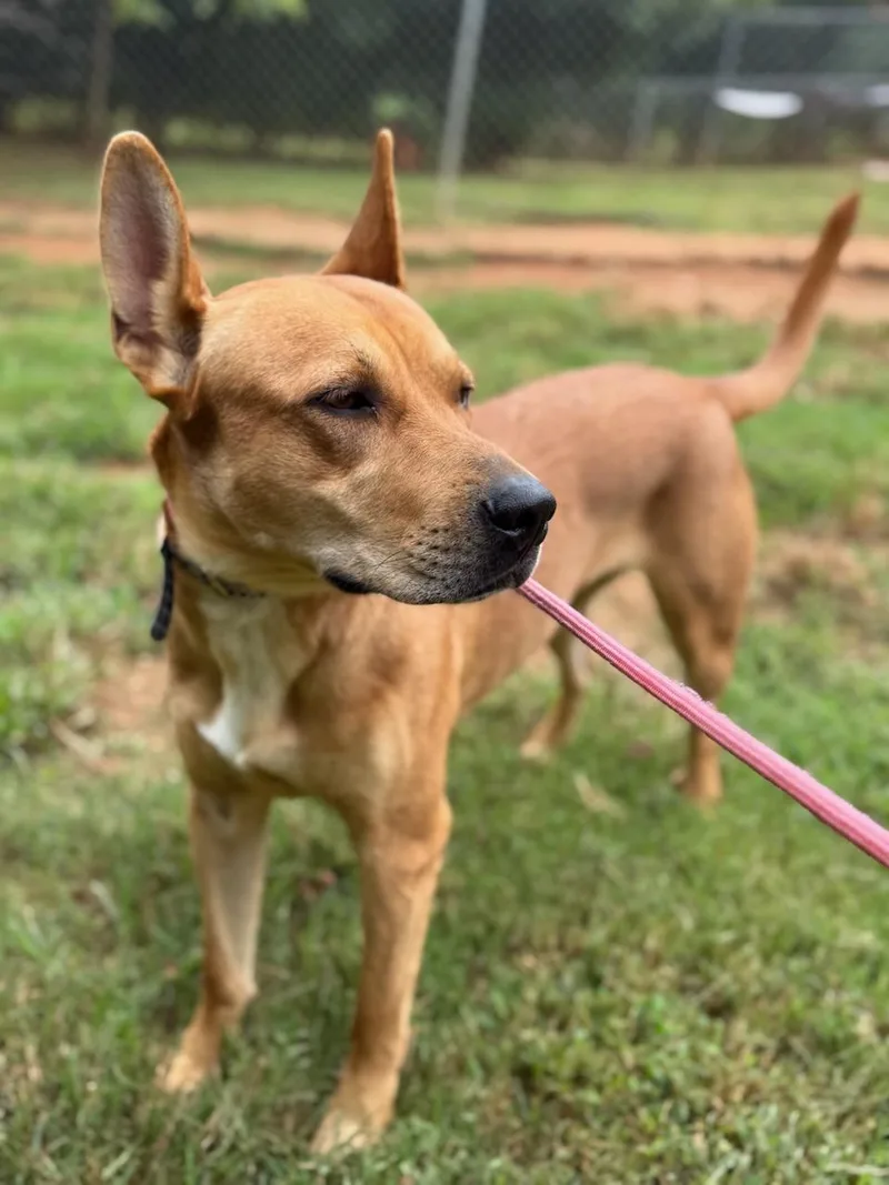 Gracie May thumbnail 2