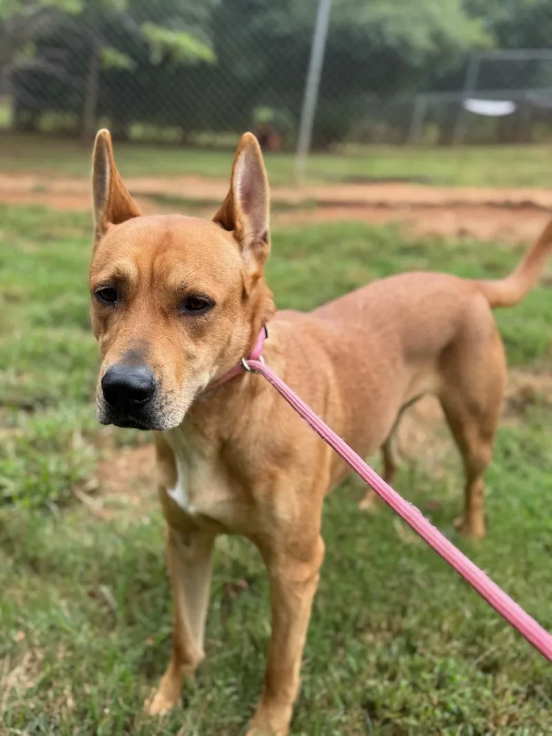 Gracie May thumbnail 3