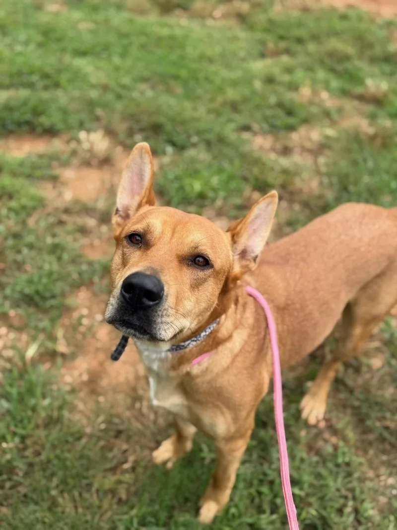 Gracie May thumbnail 5