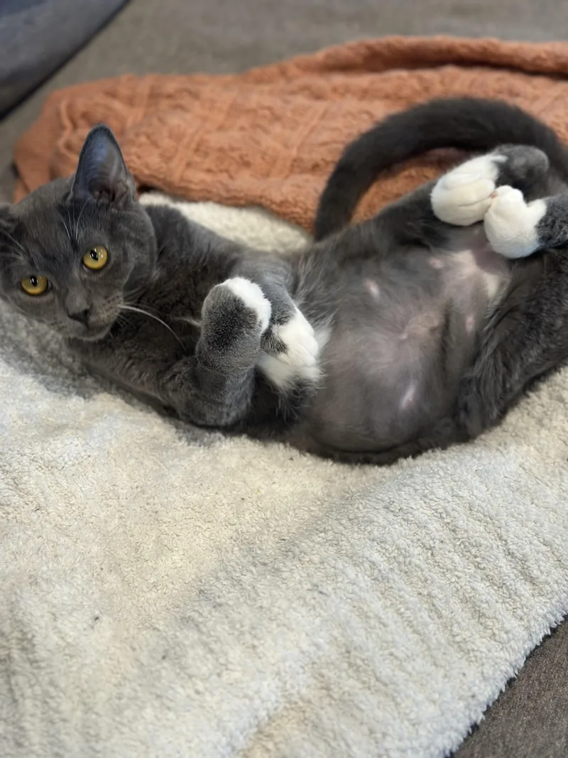 Sally & Sammyab thumbnail 2