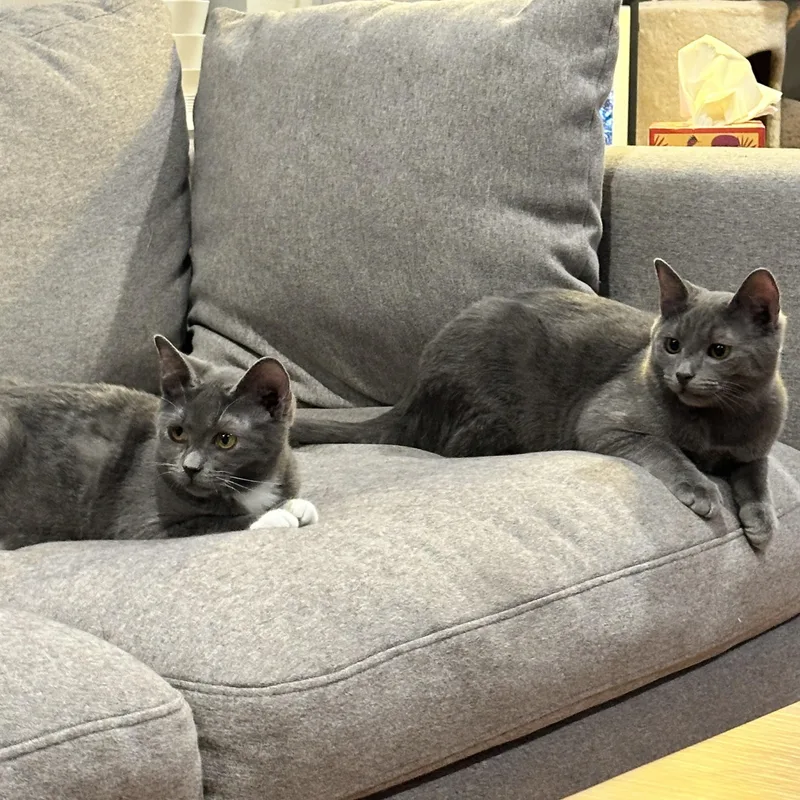 Sally & Sammyab thumbnail 3