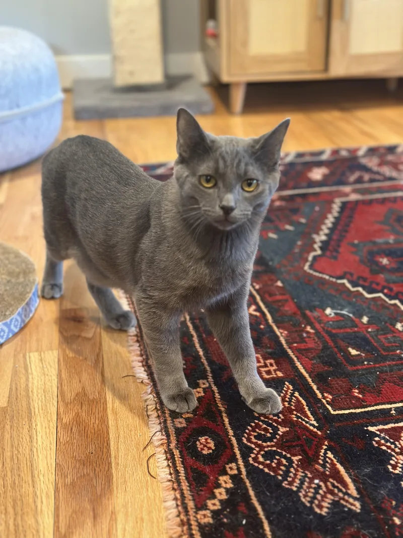 Sally & Sammyab thumbnail 4