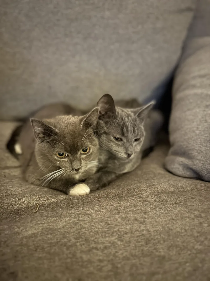 Sally & Sammyab thumbnail 5