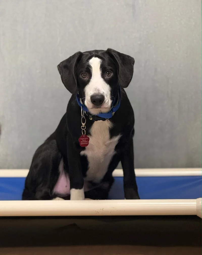 Baudy  Come Meet thumbnail 5