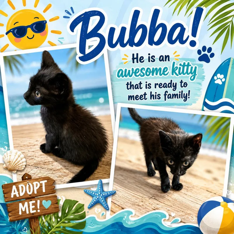 Bubba Burger thumbnail 4
