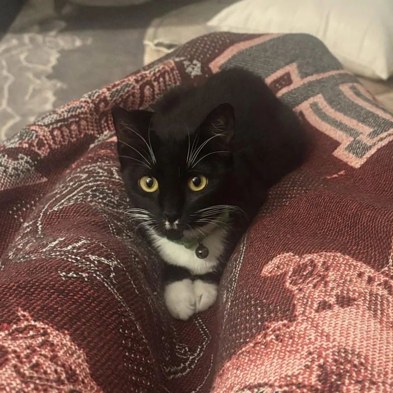 Hermione