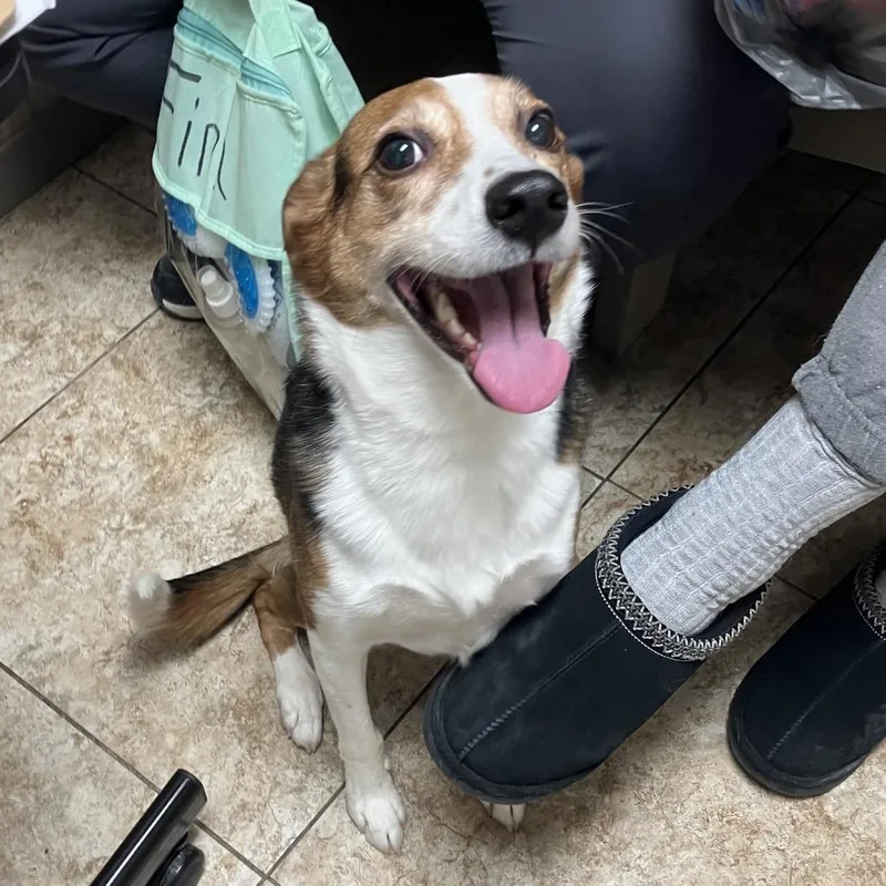 Finn