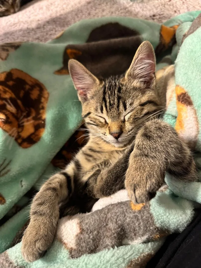 Tina Belcher And Louise thumbnail 3