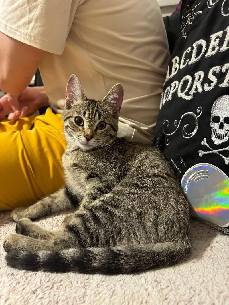 Tina Belcher And Louise thumbnail 6