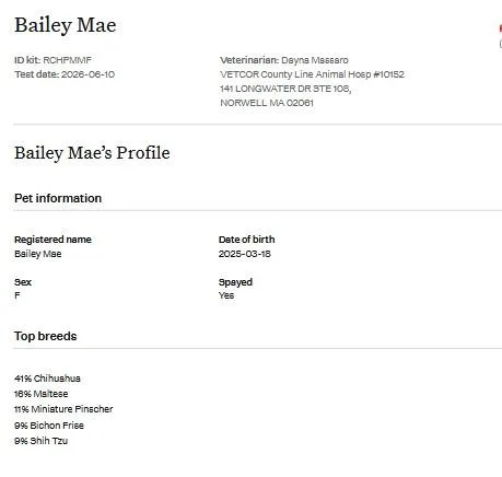 Bailey Mae thumbnail 2