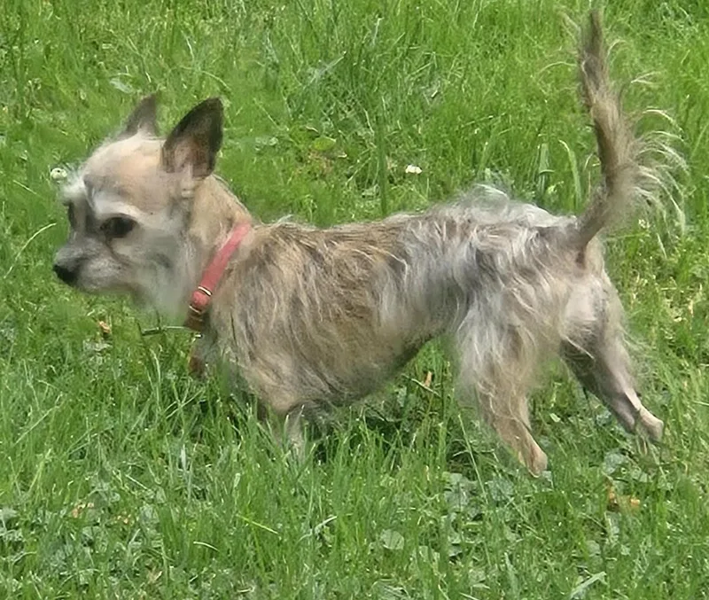 Bailey Mae thumbnail 3