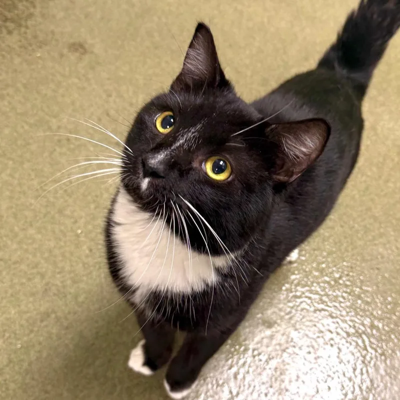 Andrew thumbnail 2