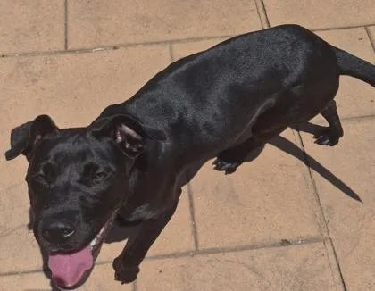 Clover thumbnail 3