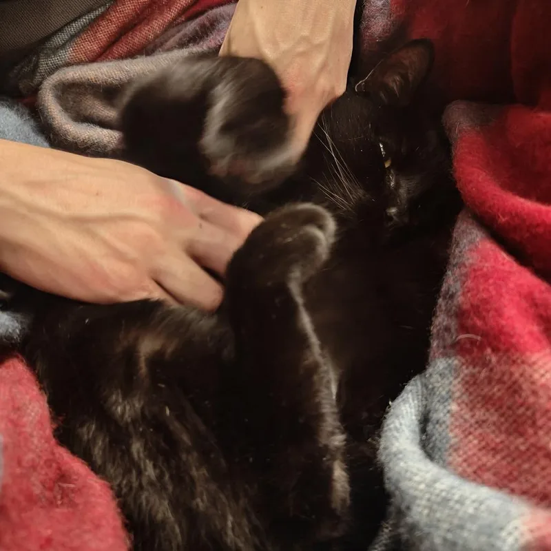 Hurricane thumbnail 2