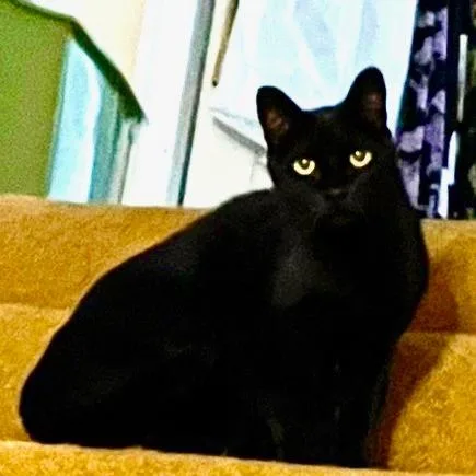 Hurricane thumbnail 3