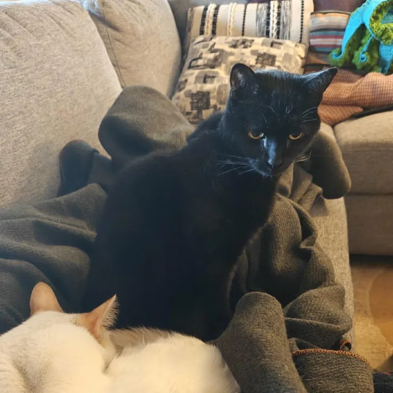 Hurricane thumbnail 4