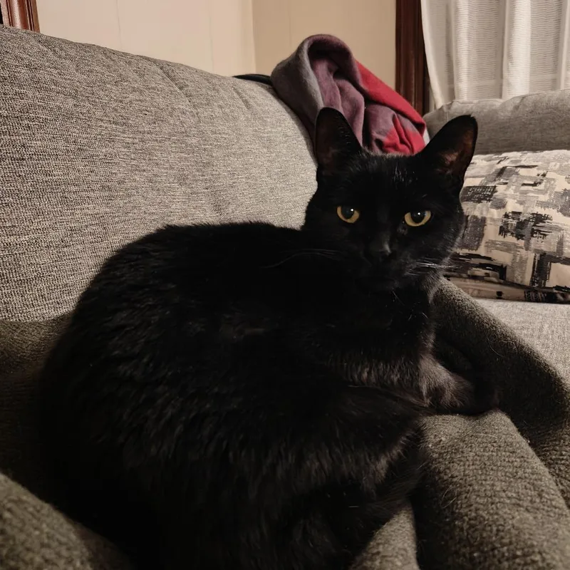 Hurricane thumbnail 5