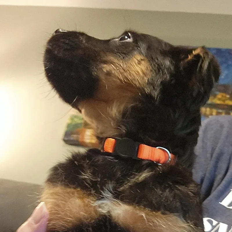 Dewey thumbnail 2