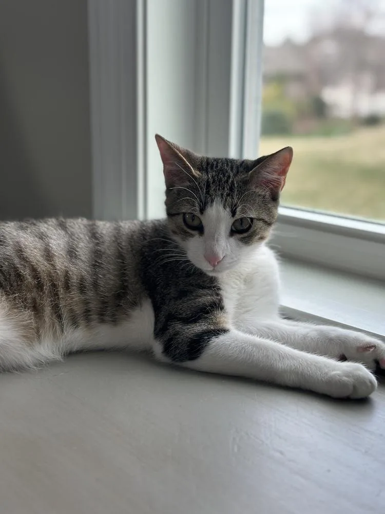 Henleybonded With Finley