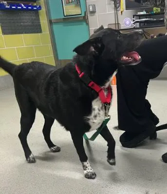 Titan Ny thumbnail 2