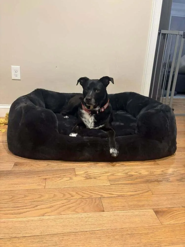 Titan Ny thumbnail 3