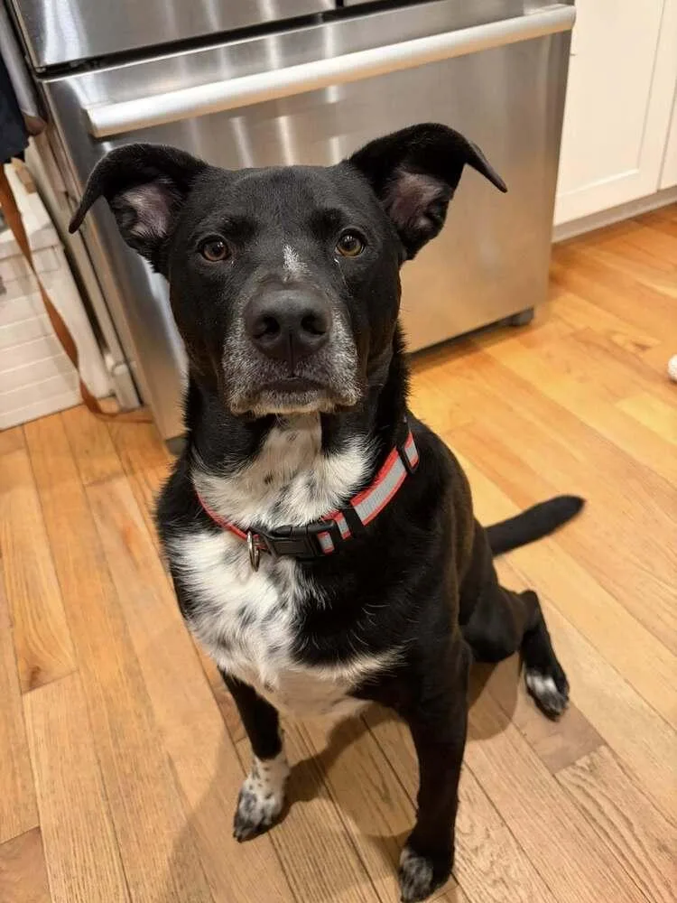 Titan Ny thumbnail 4